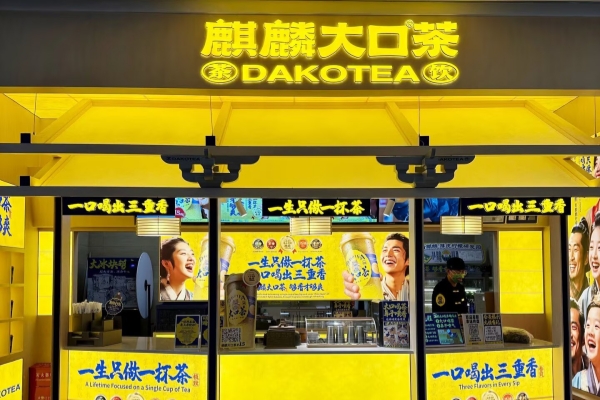公司介绍